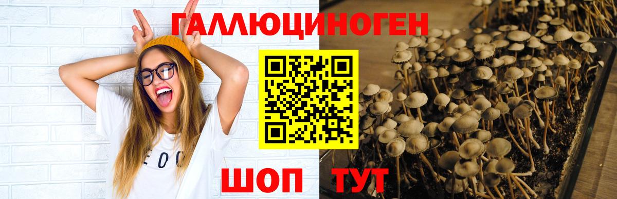 Псилоцибиновые грибы ЛСД Строитель